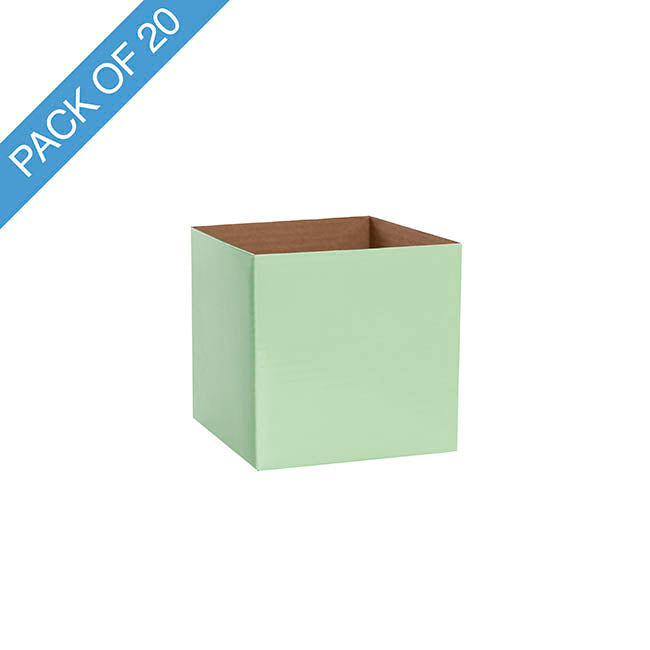 Posy Box Petite Minty Fresh Pack 20 (10x10x10cmH)