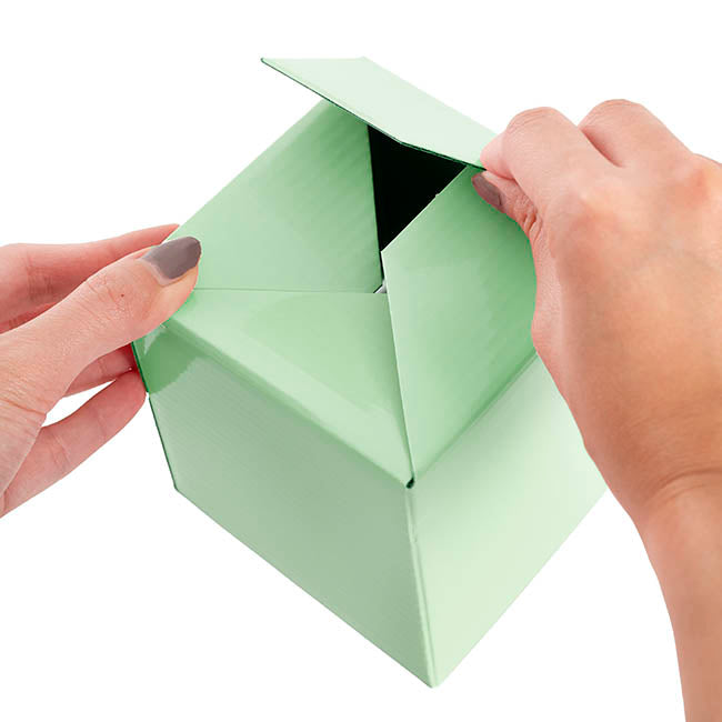 Posy Box Petite Minty Fresh Pack 20 (10x10x10cmH)