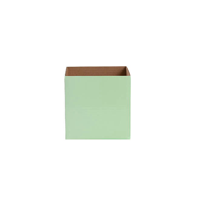 Posy Box Petite Minty Fresh Pack 20 (10x10x10cmH)
