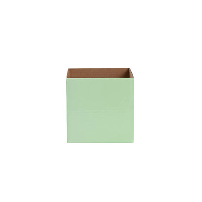 Posy Box Petite Minty Fresh Pack 20 (10x10x10cmH)