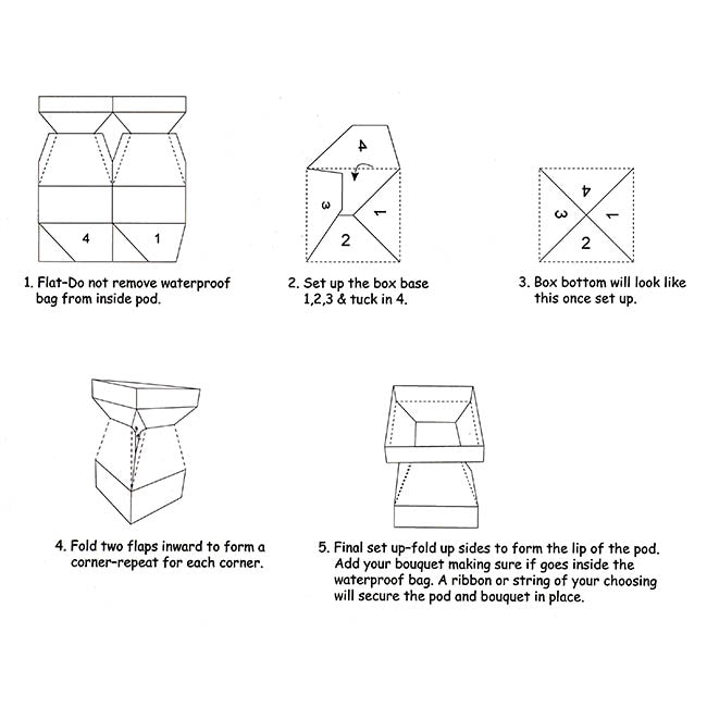 Flower Bouquet Classic POD Small Pack 5 Blush (14x14x22Hcm)