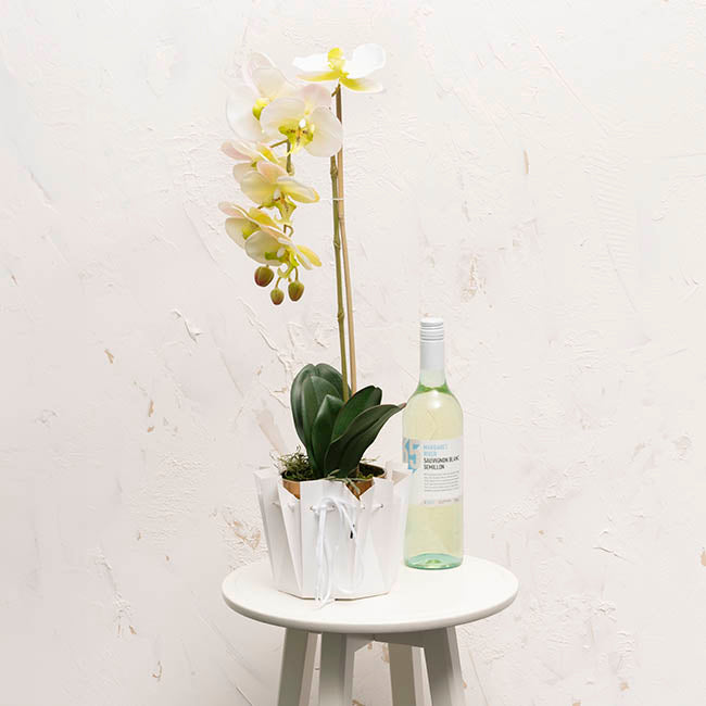 Flower Bouquet Designer Pod Pack 10 White (13.8x14.4Hcm)