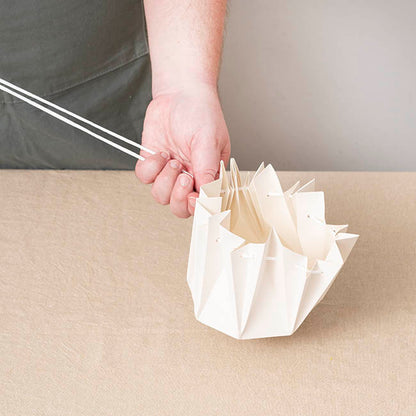 Flower Bouquet Designer Pod Pack 10 White (13.8x14.4Hcm)