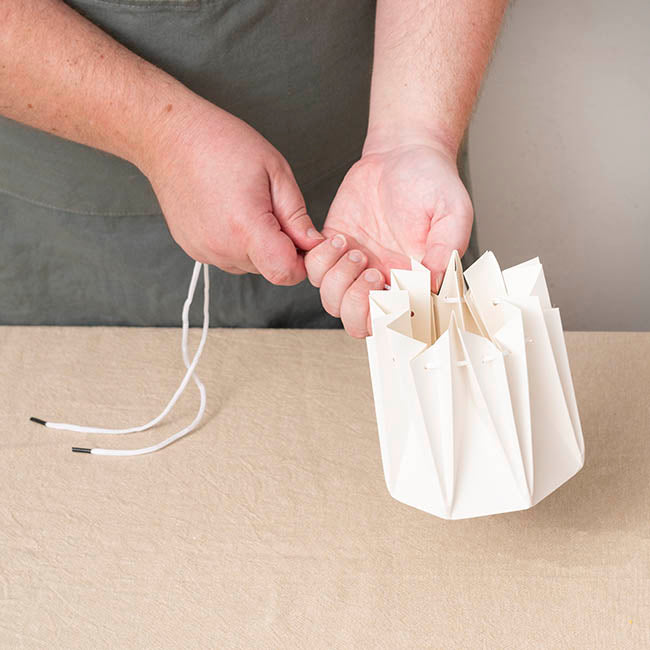 Flower Bouquet Designer Pod Pack 10 White (13.8x14.4Hcm)