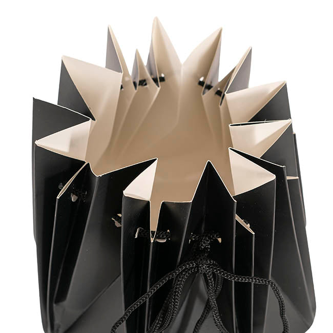 Flower Bouquet Designer Pod Pack 10 Black (16.5x17Hcm)
