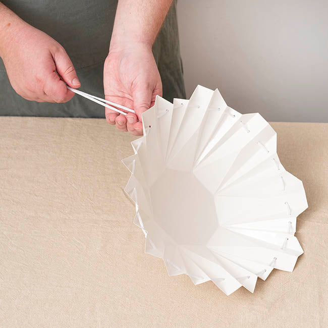 Flower Bouquet Designer Pod Pack 10 White (16.5x17Hcm)