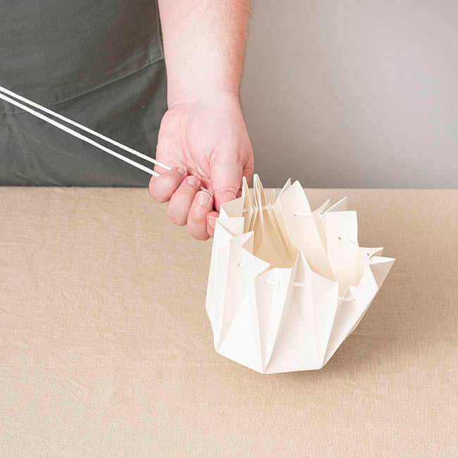 Flower Bouquet Designer Pod Pack 10 White (16.5x17Hcm)