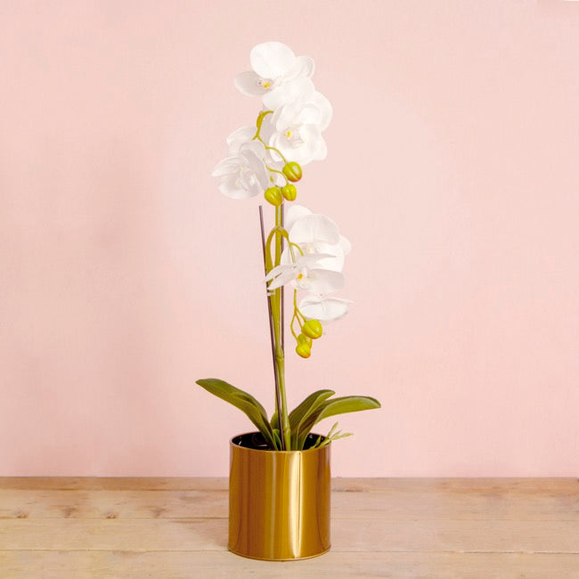 Metal Plant and Arrangement Pot Brass Gold (12x13cmH)
