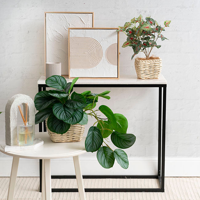 Seagrass Planter Squat Set of 2 Natural White (19x19x13cmH)