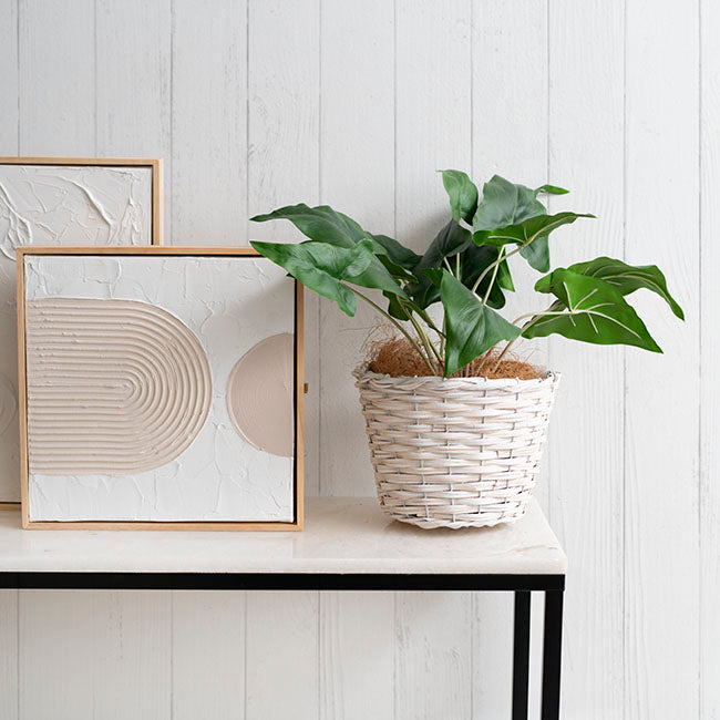 Wicker Planter Eco Forest Round White Large (24Dx18cmH)