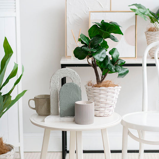 Wicker Planter Eco Forest Round White (19Dx16cmH)