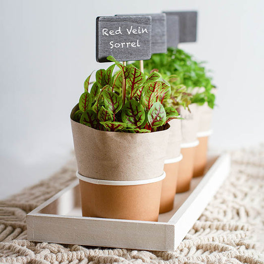 Wooden Tray Low Edge Rectangle White Wash (36x12x2.6cmH)