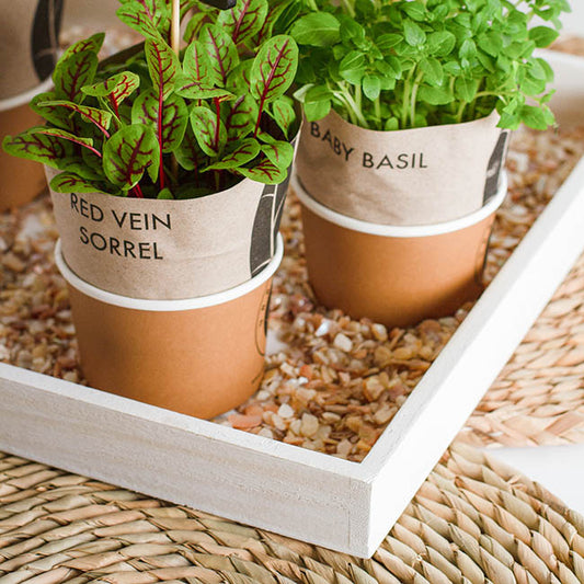 Wooden Tray Square Low Edge White Wash (41x41x3.5cmH)