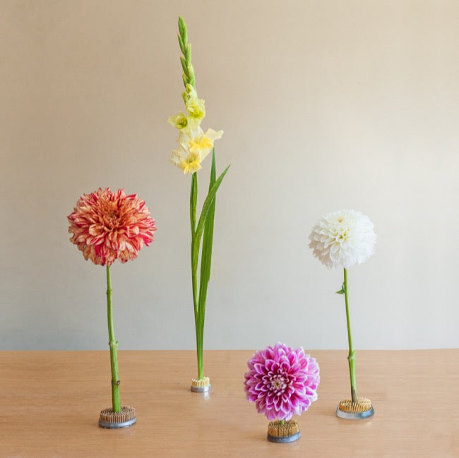Ikebana Stayput Kenzan Flower Holder No.2 Round Med 5cmD)