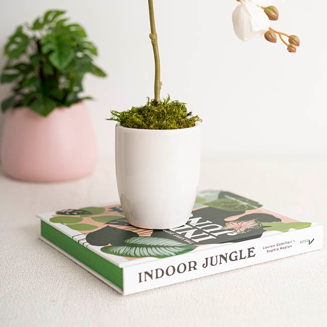 Ceramic Orchid Pot Small White (9.5cmDx11cmH)