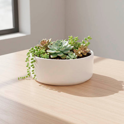 Ceramic Modern Bowl Matte White (20x8.3cmH)