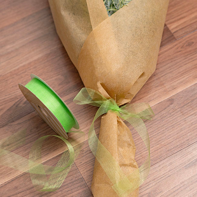 Bulk Organza Ribbon Cut Edge Lime (25mmx100m)