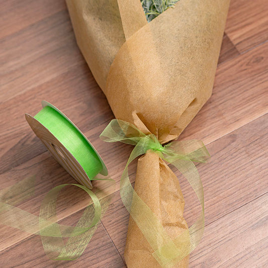 Bulk Organza Ribbon Cut Edge Lime (25mmx100m)