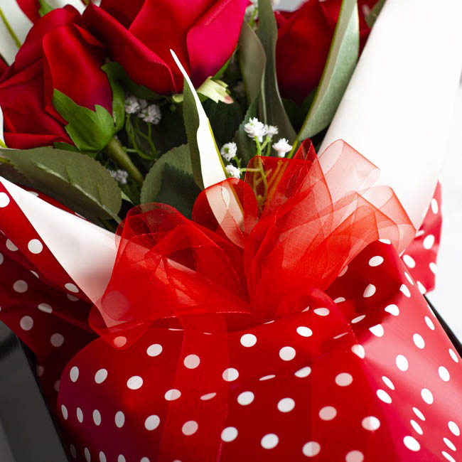 Bulk Organza Ribbon Cut Edge Red (25mmx100m)