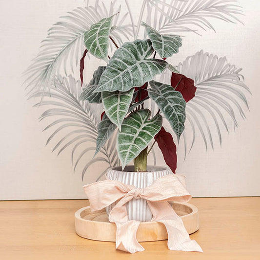 Ribbon Rustic Linen Wire Edge French Cream (60mmx20m)