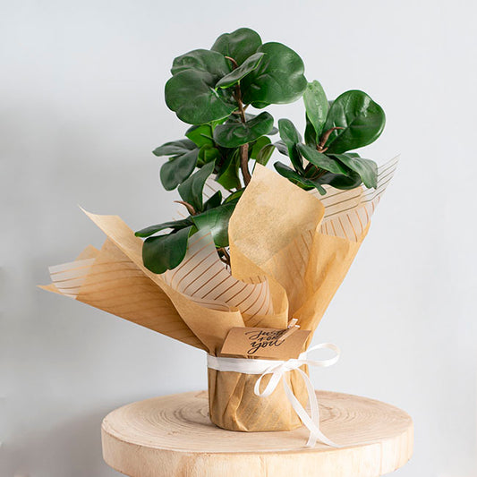 Ribbon Satin Deluxe Double Faced Bridal White (10mmx25m)