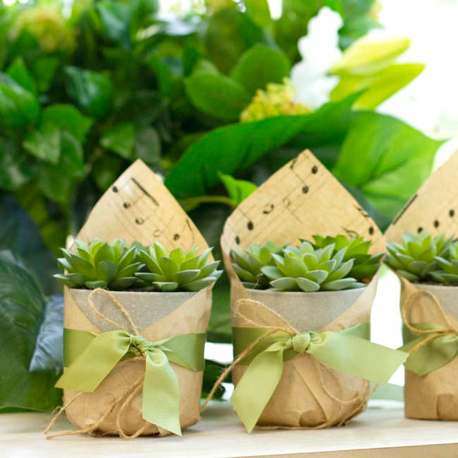 Ribbon Plain Grosgrain Sage (25mmx20m)