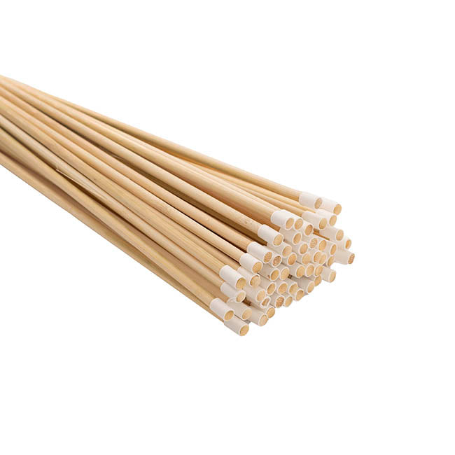 Bamboo Balloon Sticks Pack 50 Beige (40cmH)