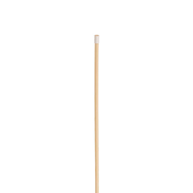 Bamboo Balloon Sticks Pack 50 Beige (40cmH)