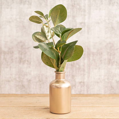 Floral Event Craft Spray Paint Metallic Champagne Gold 340g