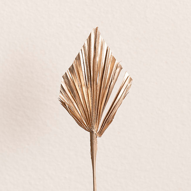 Floral Event Craft Spray Paint Metallic Champagne Gold 340g