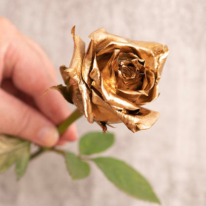 Floral Event Craft Spray Paint Metallic 24KT Pure Gold 340g