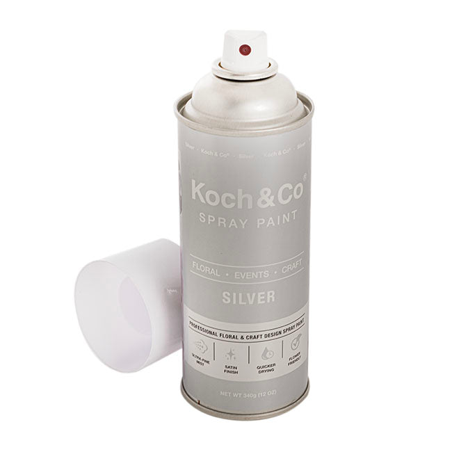 Floral Event Craft Spray Paint Metallic Silver (340g)