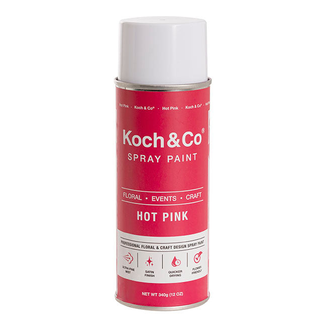 Floral Event Craft Spray Paint Hot Pink (340g)