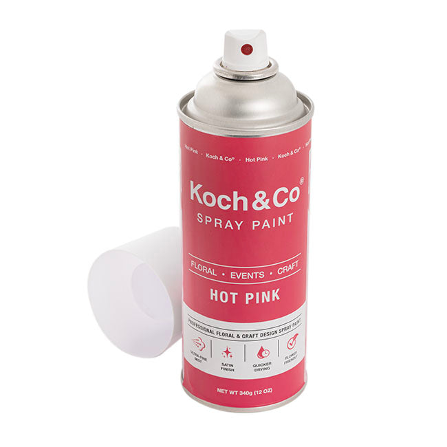 Floral Event Craft Spray Paint Hot Pink (340g)