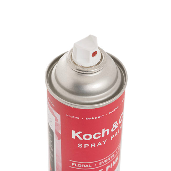Floral Event Craft Spray Paint Hot Pink (340g)