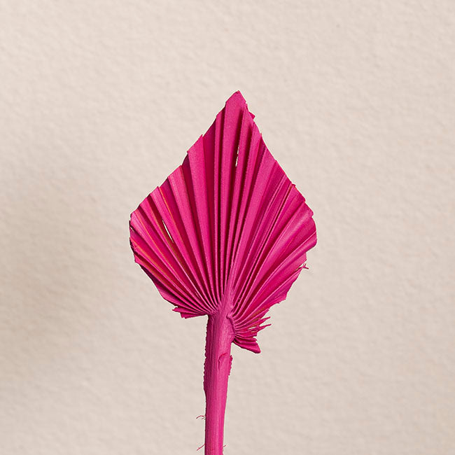 Floral Event Craft Spray Paint Hot Pink (340g)