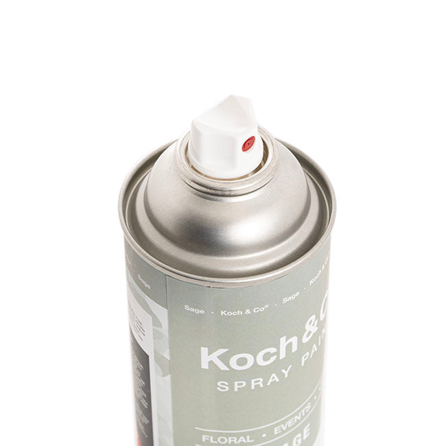Floral Event Craft Spray Paint Sage (340g)