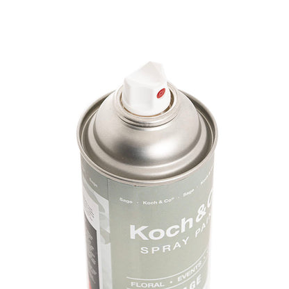 Floral Event Craft Spray Paint Sage (340g)