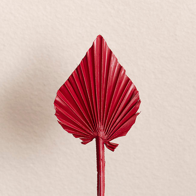 Floral Event Craft Spray Paint Burgundy Red (340g)