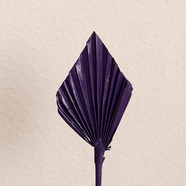 Floral Event Craft Spray Paint Purple (340g)