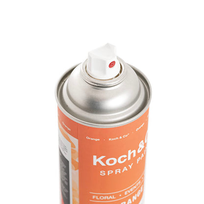 Floral Event Craft Spray Paint Orange (340g)