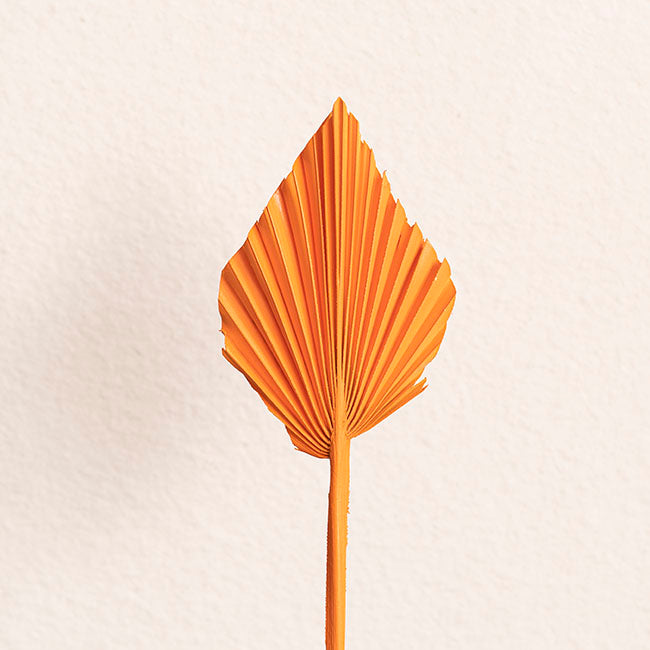 Floral Event Craft Spray Paint Orange (340g)