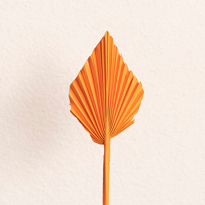 Floral Event Craft Spray Paint Orange (340g)