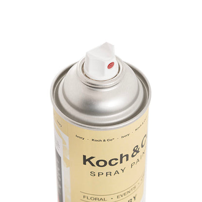Floral Event Craft Spray Paint Ivory (340g)