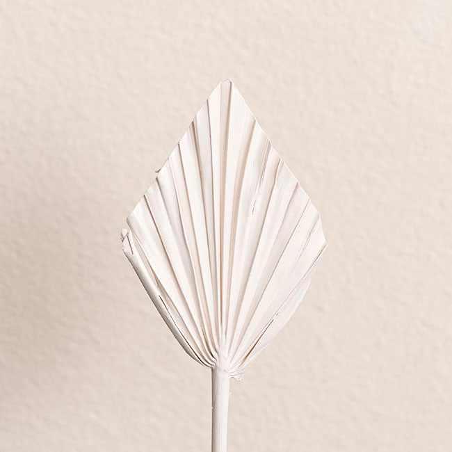 Floral Event Craft Spray Paint Matte White (340g)