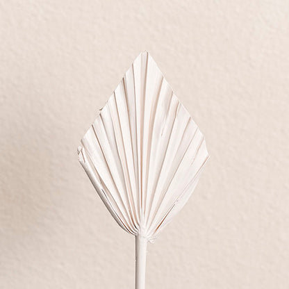 Floral Event Craft Spray Paint Matte White (340g)