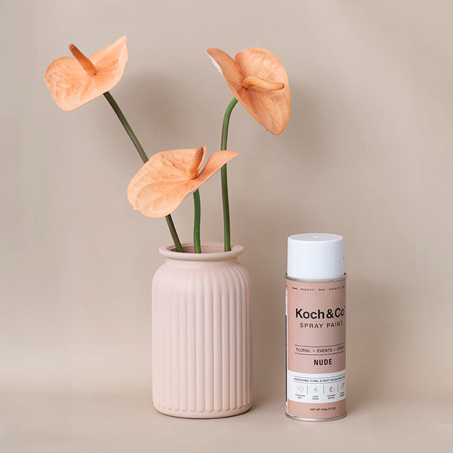 Floral Event Craft Spray Paint Nude (340g)