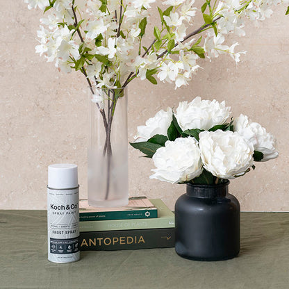 Floral Event Craft Spray Frost (300g)