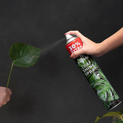 Leaf Shine Premium Spray Koch & Co 840ml (30% Extra)