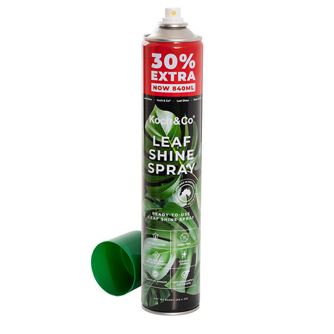 Leaf Shine Premium Spray Koch & Co 840ml (30% Extra)